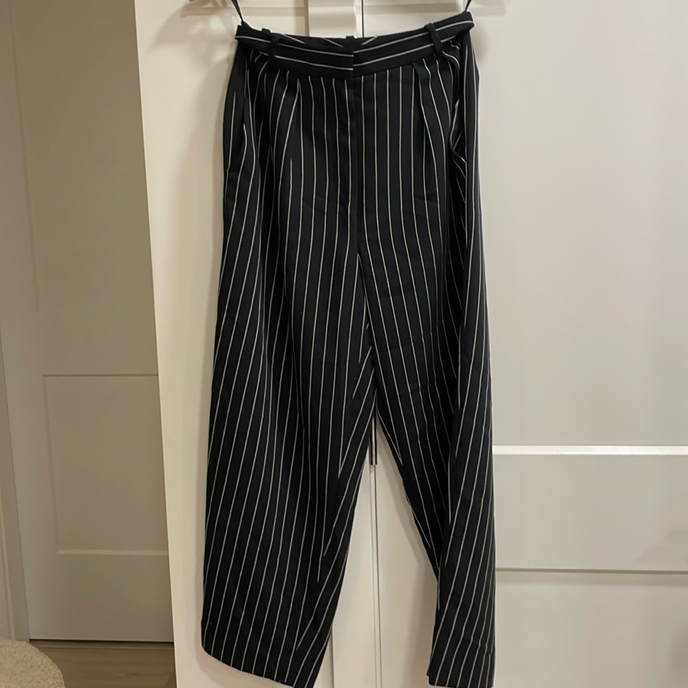 Aritzia Babaton Modesto Pants